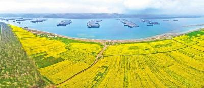 立规之地，一江碧水八年回响