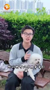 文明养犬，从我做起