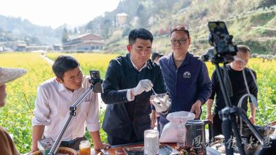 花开山野“三重奏”——宣恩花海经济背后的“美丽账本”