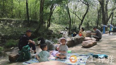 乐享生态美景 钟祥大口国家森林公园周末迎踏青高峰