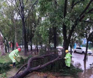 这是暴雨后的仙桃→