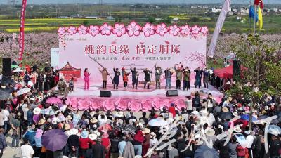 花海里的“致富经”，汉川解锁乡村振兴“赏花密码”