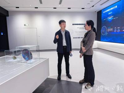 AR眼镜的“视网膜”谁来守护？武汉这家单项冠军做到了！