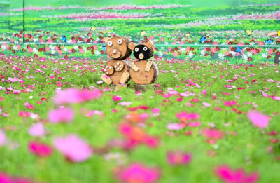 满城芳华·蝶变进行时丨潜江：花开满巷 同心润城