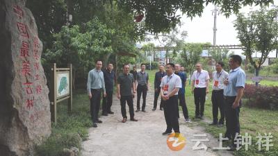钟祥市人大常委会开展《古树名木保护条例》执法检查
