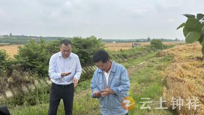 磷矿镇：抢抓天气窗口期 全力抢收保粮仓