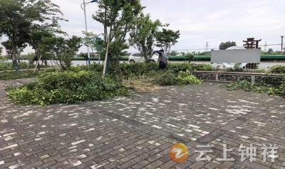 冷水镇百井村网格员化身 “清障员”为道路安全 “剪”出平安通道