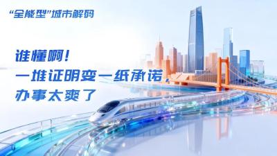 谁懂啊！一堆证明变一纸承诺，办事太爽了