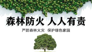  森林防火 人人有责