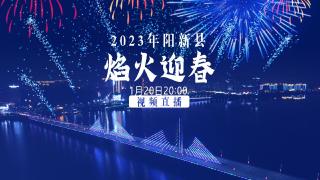  【网络中国节·春节】2023阳新县焰火迎春视频直播