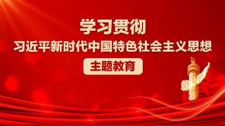 专题|学习贯彻习近平新时代中国特色社会主义思想主题教育