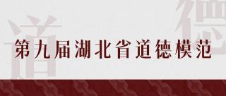  【专题展播】第九届湖北省道德模范