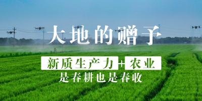 湖北阳新：“新质生产力＋农业” 是春耕也是“春收”