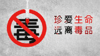  【专题】全民禁毒宣传月