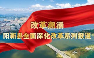  改革潮涌：阳新县全面深化改革系列报道
