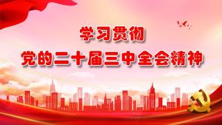  学习贯彻党的二十届三中全会精神
