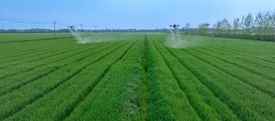 湖北阳新：有“智”更有“质”钢铁农机注入智慧基因