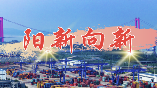 阳新向新