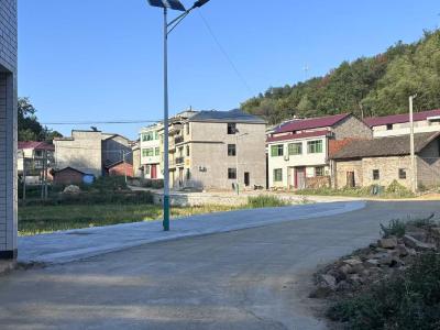 阳新枫林镇：荒山披绿浪 杨桥日子甜
