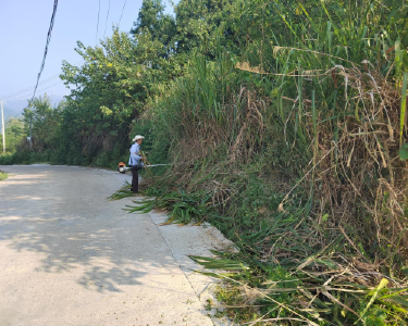 黄石阳新：用坚守铺就山村平安出行路