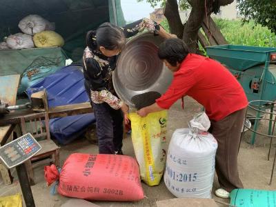 黄石阳新：菜籽流金 香溢振兴路