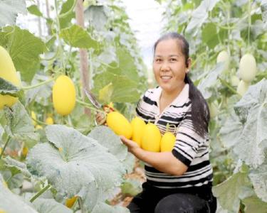 黄石阳新：双残夫妻把苦日子“种”出“甜”生活