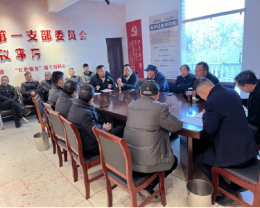 黄石阳新：“老区精神”引领郝矶先锋