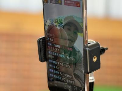 学员变身带货王！“零元课”赋能阳新 直播间万斤鲜桃热销助农