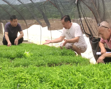 黄石阳新：一本台账记冷暖 党员干部“马上办”