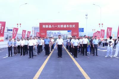 八一大桥“八一”焕新通车 为阳新县振兴发展注入新动能