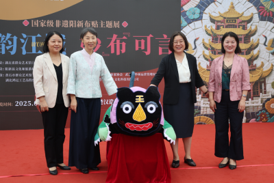 贴韵江城 妙“布”可言  国家级非遗阳新布贴展在汉开幕