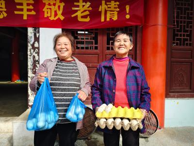 黄石阳新：一颗“致富屯鸟蛋”的双向奔赴