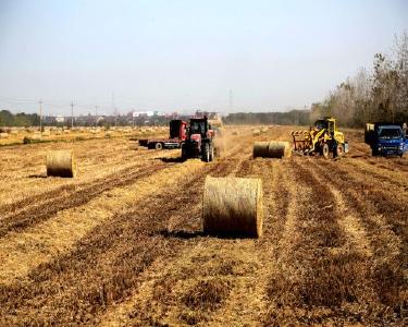 黄石阳新：田垄农机“大合唱” 冬闲田变“希望田”