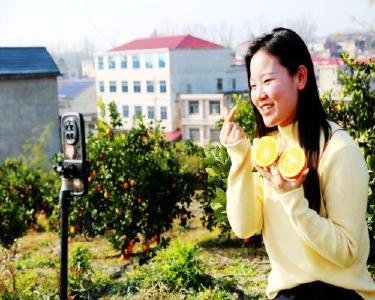 黄石阳新：橙黄果熟枝头俏 农旅融合乐逍遥