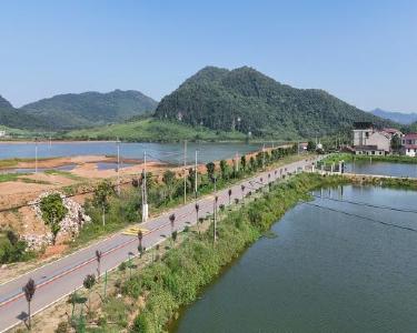 黄石阳新：织密乡村路网 绘就振兴新图