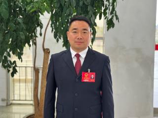  【两会声音】人大代表：同心聚力担使命 共绘阳新锦绣图