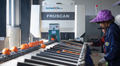 黄石阳新：一颗橙撬动上亿产值