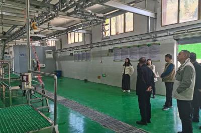 黄石阳新：严把畜禽屠宰检疫“三道关”