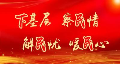 【下基层 察民情 解民忧 暖民心】麻城各地各单位用心用情用力办好民生实事（四）