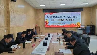 麻城市各地各单位学习贯彻市纪委九届三次全会会议精神（四）