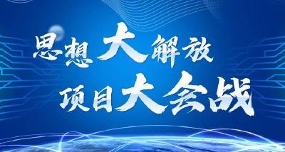 【思想大解放 项目大会战】市政务服务和大数据管理局：悬高服务强帆 划快改革劲桨 全力护航项目建设“开门红”