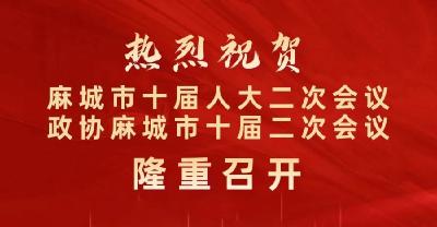 【聚焦两会】委员心声：主动担当　奋勇争先　在履职尽责中展现更大作为