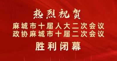 【聚焦两会】中国人民政治协商会议麻城市第十届委员会第二次会议决议