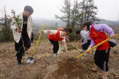 中馆驿镇开展“学雷锋，植树添新绿”主题活动