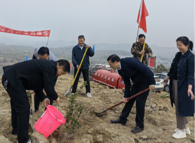 乘马岗镇：我为大别山栽树 我为乘马护青山