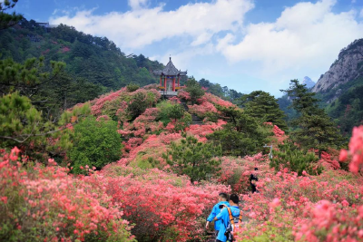 山返青 树萌绿 正是踏青出游好时候