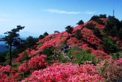 龟峰山风景区让周边农户吃上“旅游饭”