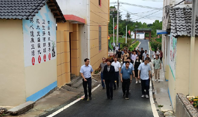 歧亭镇组织开展美丽城乡建设现场会