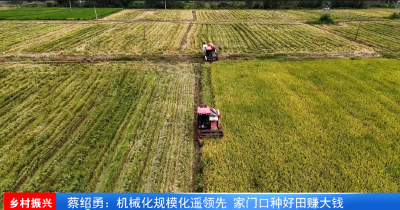 蔡绍勇：机械化规模化遥领先  家门口种好田赚大钱