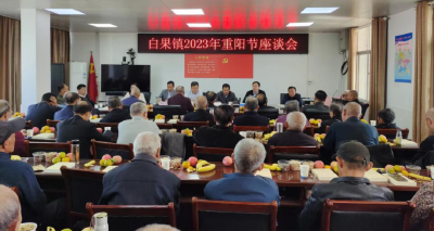 白果镇召开重阳节座谈会